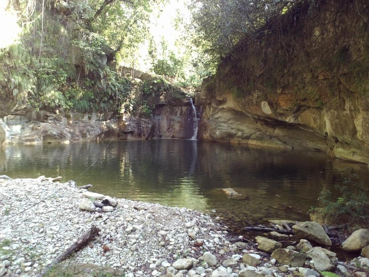 Río San Juan Domaine Vista Linda La Casita Del Loma Vista Marヴィラ エクステリア 写真